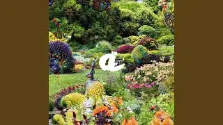 The Garden II.