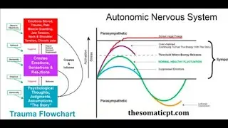 Ego Compensations on Top of Nervous System Activation
