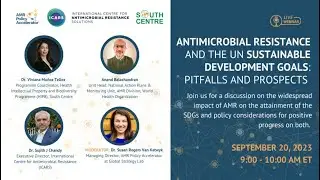 Antimicrobial Resistance and the UN Sustainable Development Goals Pitfalls and Prospects