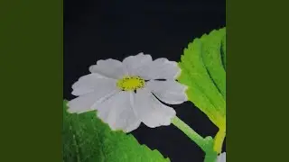 Apa adanya