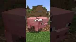 What Is The Creeper In Minecraft?