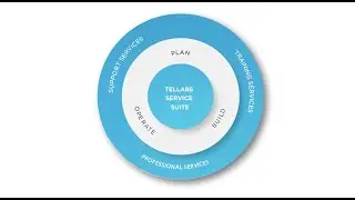 Tellabs Support, Training and Professional Service Options