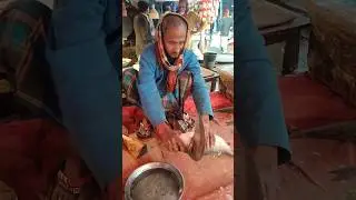 Amazing big fish cutting skill.#shorts #shortvideo #shortsvideo #shorts #real_firafish_cutting #rffc