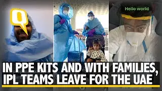 IPL Teams Arrive in UAE Dressed in PPEs and Some With Their Families | The Quint