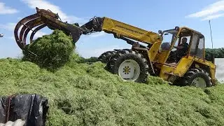 Silage 2022 - Buckraking on the Pit with Matbro Teleram plus Massey Ferguson tips load