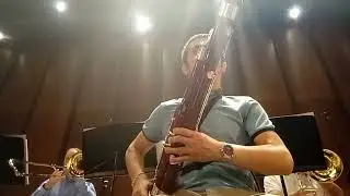 The Dance of Buffoons - Vivace Bassoon Solo
