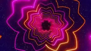 Neon Pink Orange Lights Flowers Tunnel and Abstract Glow Particles
