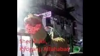 8 Muharram Sher  -e -Ali, kydganj Allahabad - Prayagraj. 18