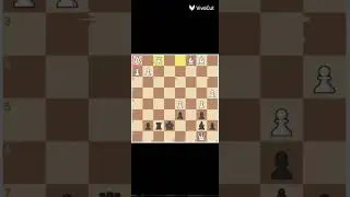 only check mat in 3 brilliant moves
