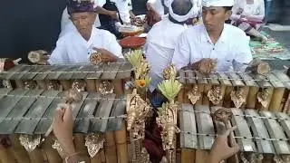 SEKAR ALAS Style Lombok Gender Wayang || BANJAR SUKA DUKA EKA DHARMA BTN SWETA MATARAM LOMBOK