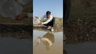 Jungle Survival Bottle 😎 Part-1