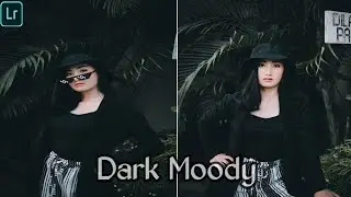 free preset xmp dark moody no password || lightroom mobile