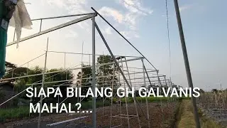 Update progres pembuatan greenhouse ke-2 sae tani. greenhouse galvalum galvanis murah
