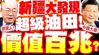 【全程字幕】新疆大發現! 驚獲