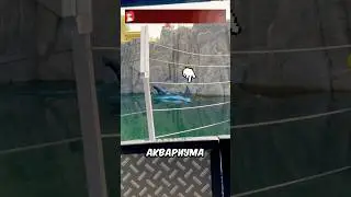 Вот почему запрещено держать акул в зоопарках 😱🦈