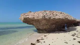 Farasan Island Hidden Gem - Maldives of Saudi Arabia 🌊 | Complete Guide & Off-Road Adventure 🚙