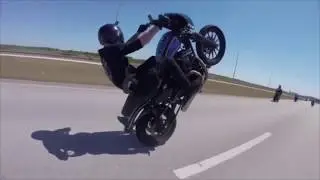 Amazing Harley Davidson Wheelies, Crashes & drifts. Instagram Compilation