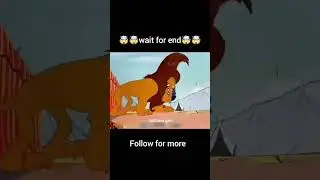 ​Sher vs Khargosh ki Circus wali Jung! 😂 | Bugs Bunny Funny Dubbing #shorts #cartoongiri#funnyvideo