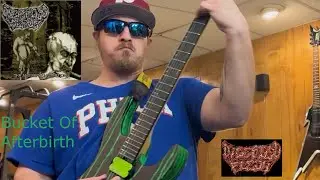 Digested Flesh -  Bucket of Afterbirth (Guitar Cover)