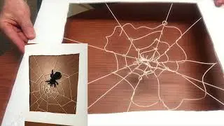 Spider Web Engineering Final