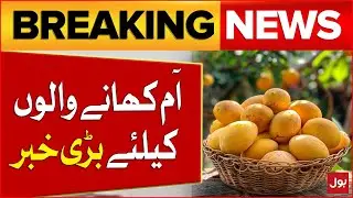 Good News for Mango Lovers | Fresh Mango Updates | Latest Updates | Breaking News