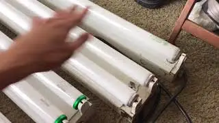 Mass Rapid Start Fluorescent light (Remake)