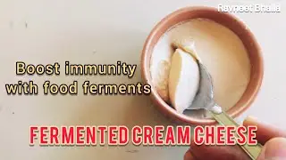 Boost Immunity With Fermented Cream Cheese (Probiotics-Rich Healthy Spread Recipe by Ravneet Bhalla)