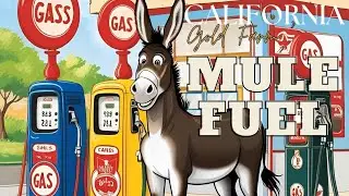 California Gold Farm | Mule Fuel 🫏 ⛽️ THCa Review