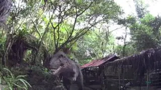 Yanbaru subtropical forest, Okinawa
