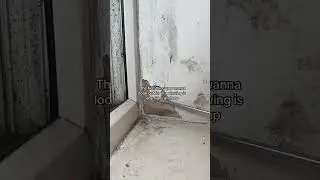 My Property Red Flags Part 1