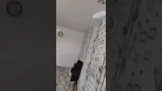 какой рост у тебя?