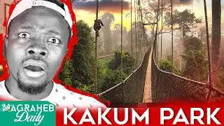 The Scariest Canopy Walk in Africa, Kakum National Park