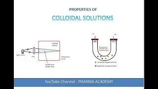 Properties of Colloidal Solutions