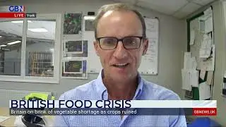 Britain is on the brink of a vegetable shortage!