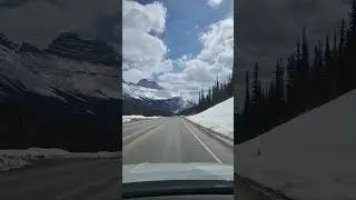 Virtual Ride: Discover the Beauty of Bow Valley Parkway, Alberta, Canada