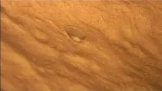 Caving Techniques : Why are Seashells Found in Caves?