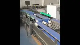 Continuous Baking Oven