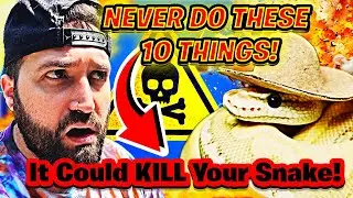 10 вещей, которые НИКОГДА не следует делать, если у вас есть змея!