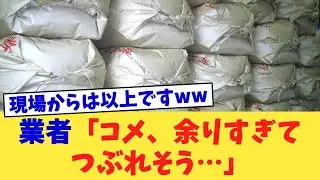 業者「コメ、余りすぎてつぶれそう…」
