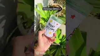 &ldquo;Christmas Candles Edition 2021 &ldquo;🎅🎄What will you gift this Christmas?