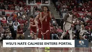 WSU's Nate Calmese enters portal