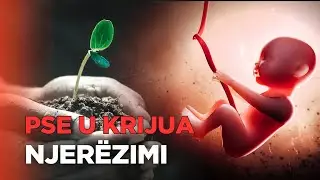 Pse u krijua njerezimi?