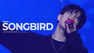 251228 이노마스 뮤직시리즈2 대구 엔플라잉 - Songbird (유회승 focus)