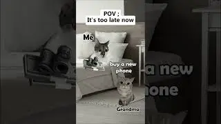 Is it to late for you..? | CAT MEMES😹  #Grandmother #catmemes #relatable