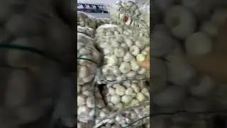 Garlic prices on August 31, 2023