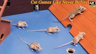 Cat TV Mouse Maze | Ultimate Mice Hunt for Cats | 8 Hours 4K HDR Entertainment Game for Cats