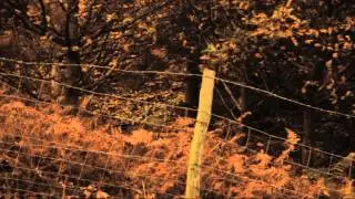 60 Second War Film