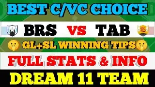 BRS vs TAB Dream11 prediction BRS vs TAB Baseball Dream11 Team BRS vs TAB Baseball Team today