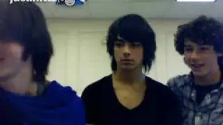 jb observing a fly - chat room with jb!