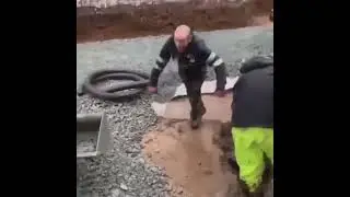 funny JCB workers || jcb meme
